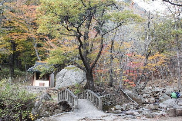 韓國釜山華僑高等部第十屆全球同學會(二)雪嶽山 新興寺