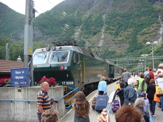 挪威(五)索娜峽灣、挪威縮影觀景火車與高山火車