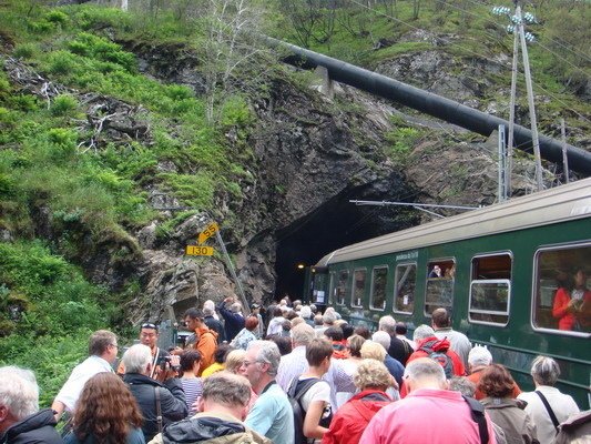 挪威(五)索娜峽灣、挪威縮影觀景火車與高山火車