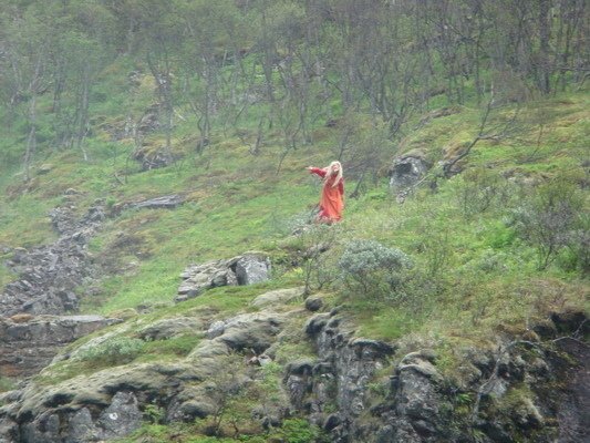 挪威(五)索娜峽灣、挪威縮影觀景火車與高山火車