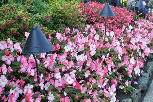 布查花園