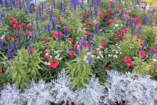 布查花園