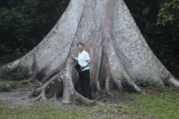 瓜地馬拉(一)提卡爾遺蹟