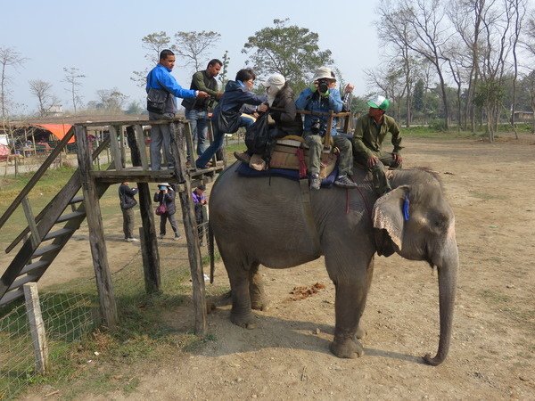 尼泊爾(五) 奇旺國家公園