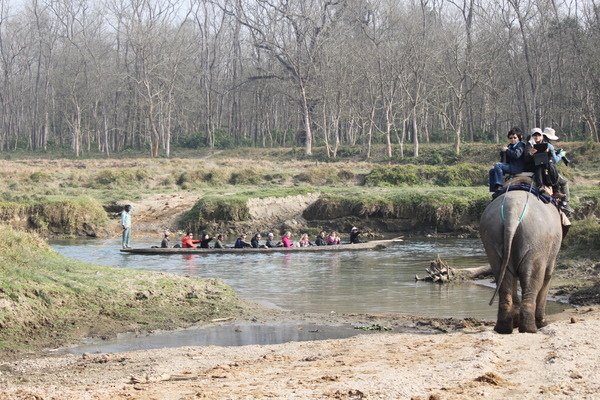 尼泊爾(五) 奇旺國家公園