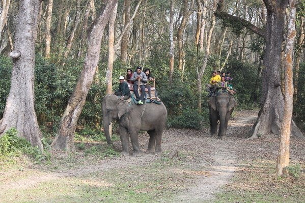 尼泊爾(五) 奇旺國家公園