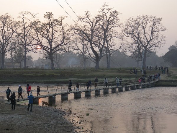 尼泊爾(五) 奇旺國家公園