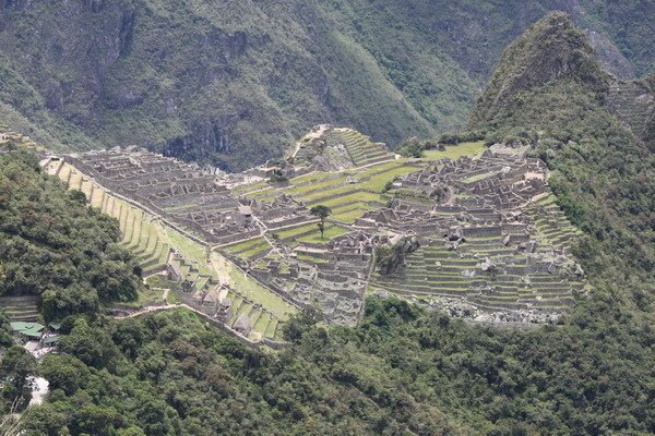 馬丘比丘－消失在叢山峻嶺的印加古城(二)