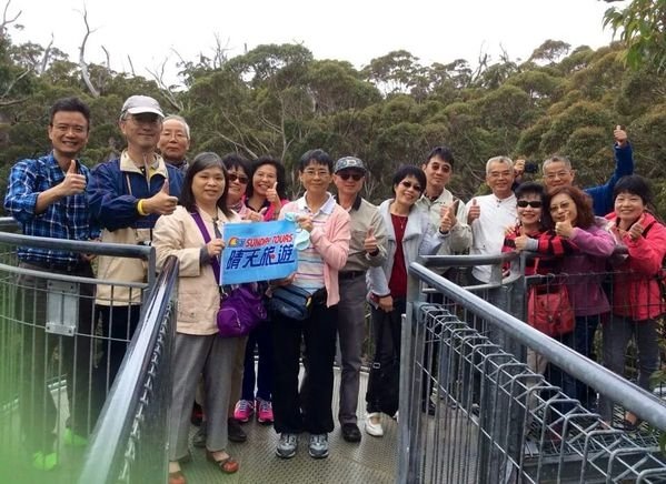 西澳洲(四)潘伯頓巨樹谷公園、羊駝農場、鯨魚世界