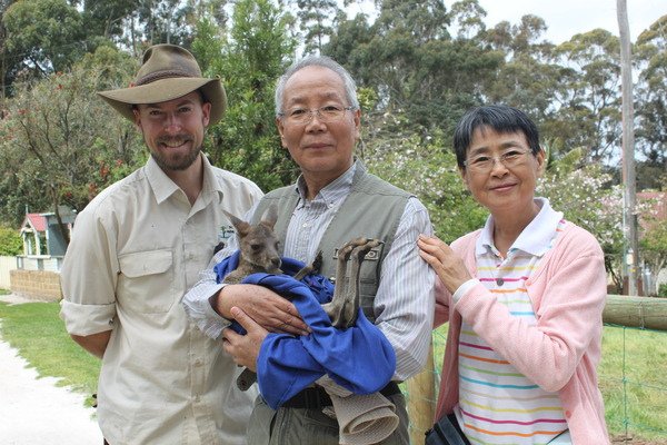 西澳洲(四)潘伯頓巨樹谷公園、羊駝農場、鯨魚世界