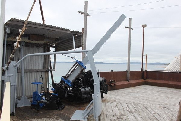 西澳洲(四)潘伯頓巨樹谷公園、羊駝農場、鯨魚世界