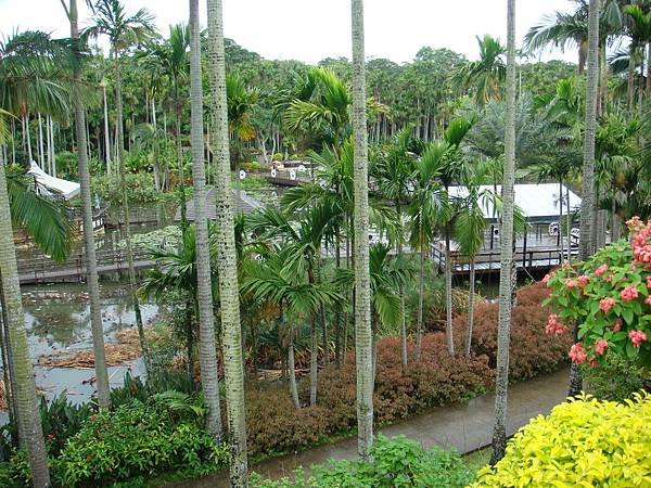 0012東南植物園_調整大小 .JPG