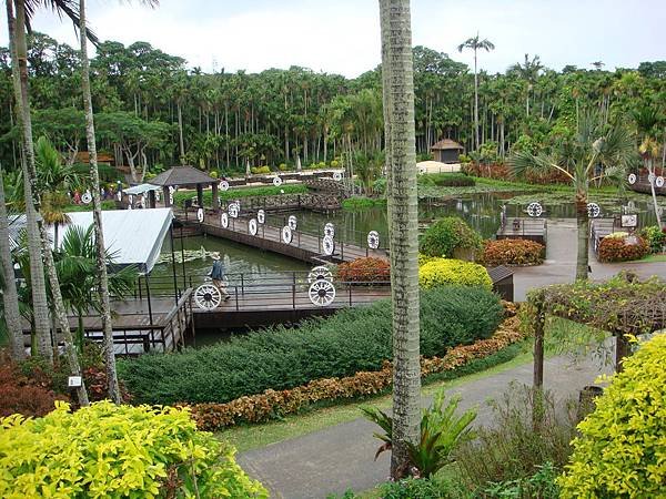 0015東南植物園_調整大小 .JPG