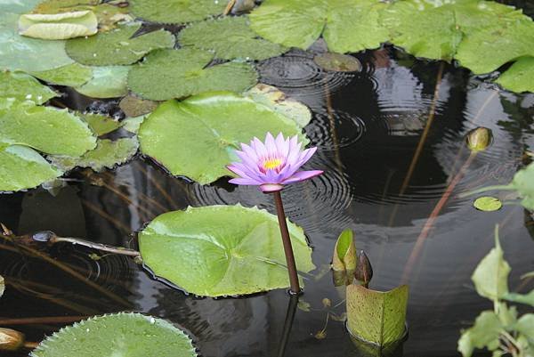 IMG_0668_調整大小 .JPG