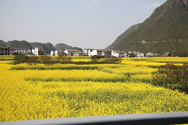IMG_9980_調整大小 .JPG