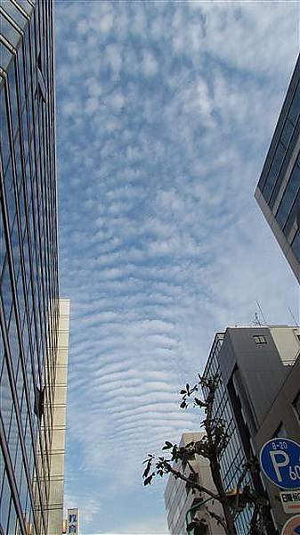 171_久屋大通.JPG
