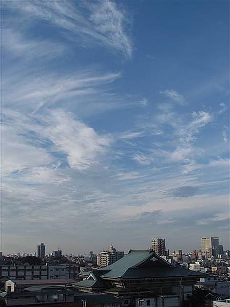 018_上午_02.JPG