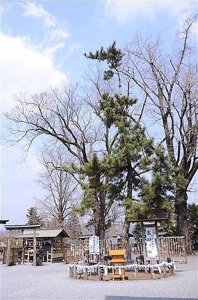 059_阿蘇神社.JPG