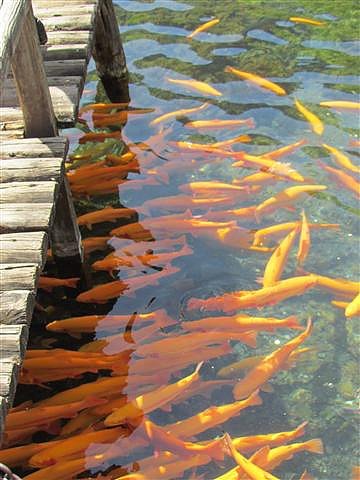 156_玉水寨.JPG