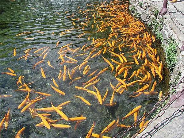 155_玉水寨.JPG