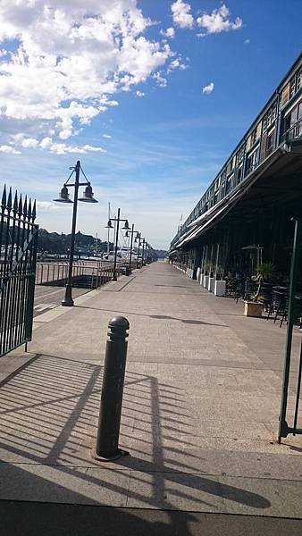 DSC_0047_1.JPG