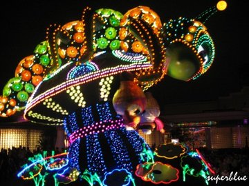 IMG_5908.jpg