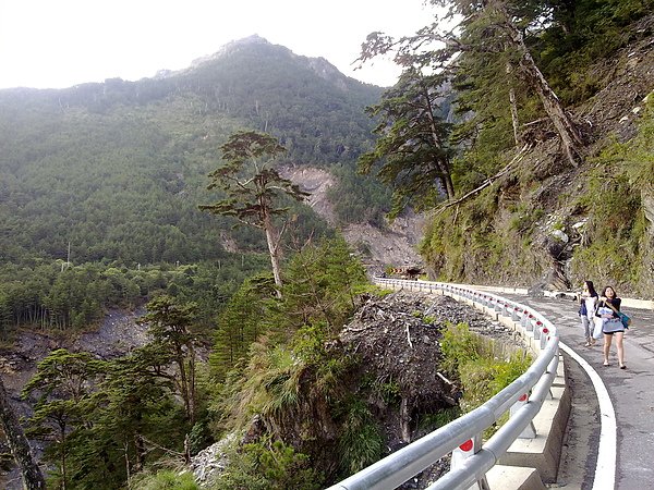 大家陸續的走過來