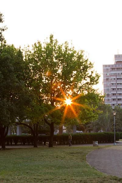 IMG_7717.jpg