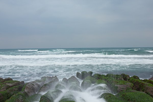 IMG_7323.jpg