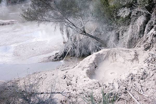 day3 rotorua/taupo