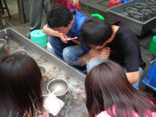 四個大學生在撈魚