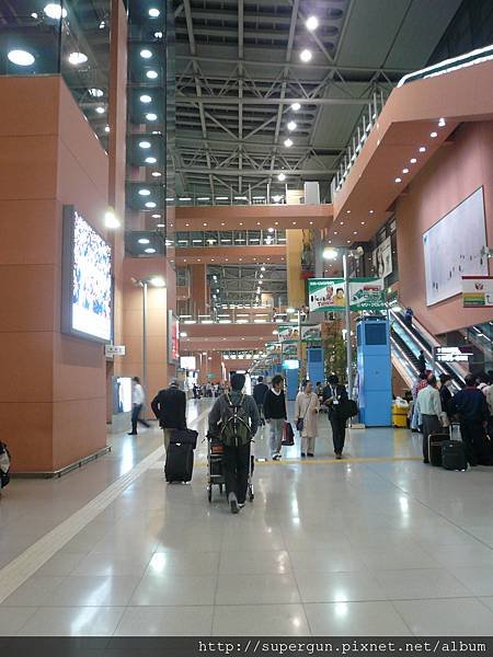 P1020857.JPG