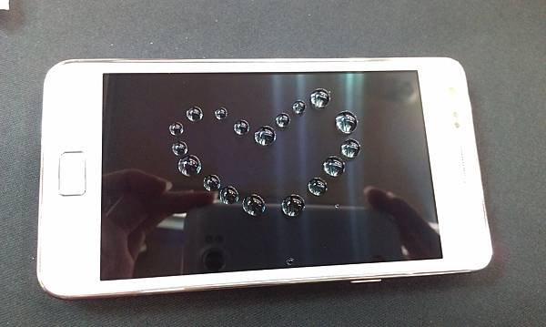 IMAG0248