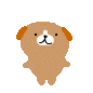 image4205
