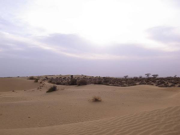R1251138.JPG