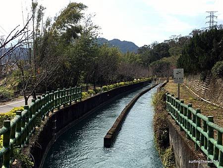 櫻花步道(1).JPG