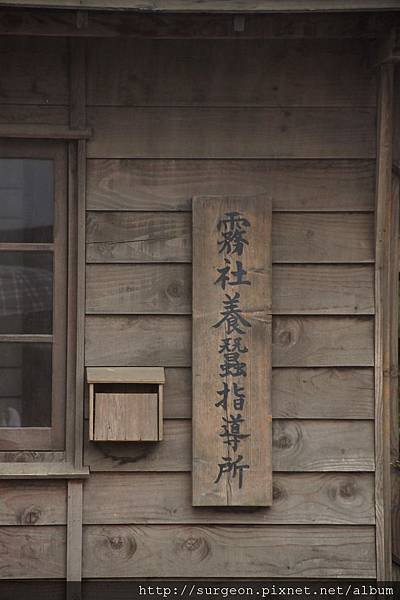 《新北市》賽德克‧巴來-林口霧社街 (474).JPG
