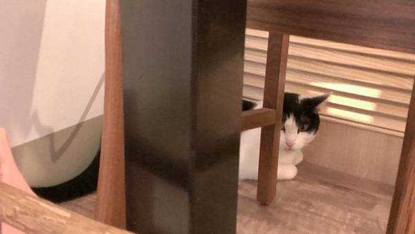 IMAG0769[1]