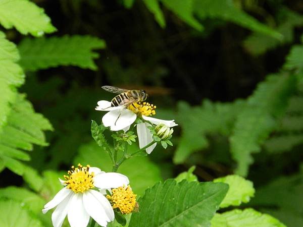 DSCN3505.JPG