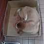 影像081.jpg