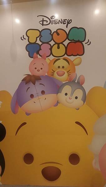 IMAG6497