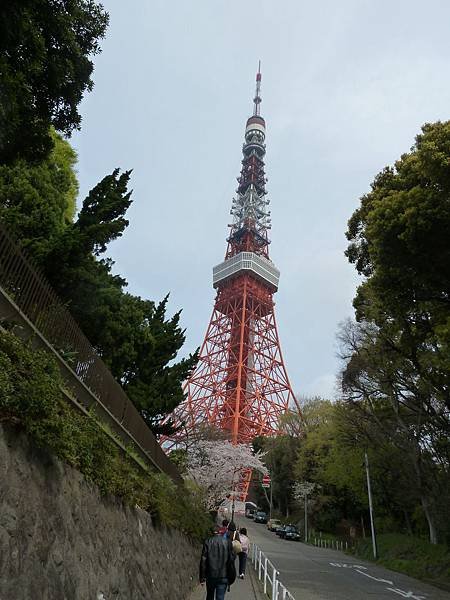 P1050430.JPG