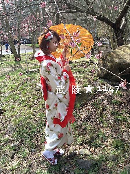 20160220武陵農場