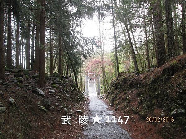 20160220武陵農場