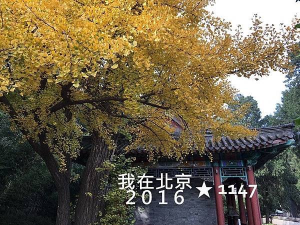 2016北京