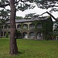 IMGP5797.JPG