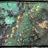 IMG_0048.jpg