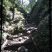 IMG_0049.jpg