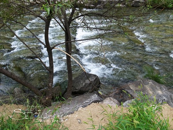 2012_8_24韓國首爾素食-清溪川-廣藏市場-樂天超市10