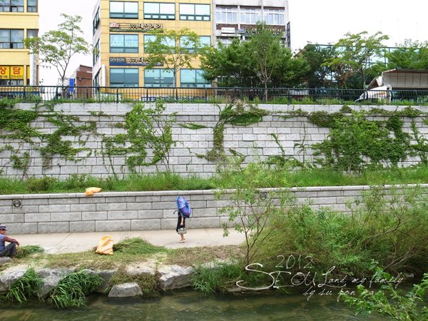 2012_8_24韓國首爾素食-清溪川-廣藏市場-樂天超市17